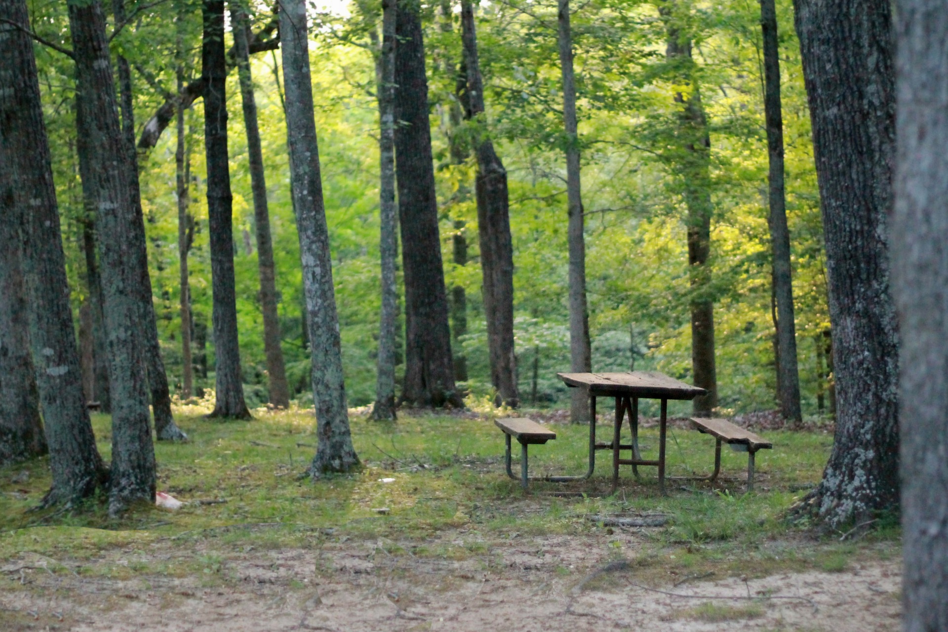 Van City RV Destinations Picnic Table