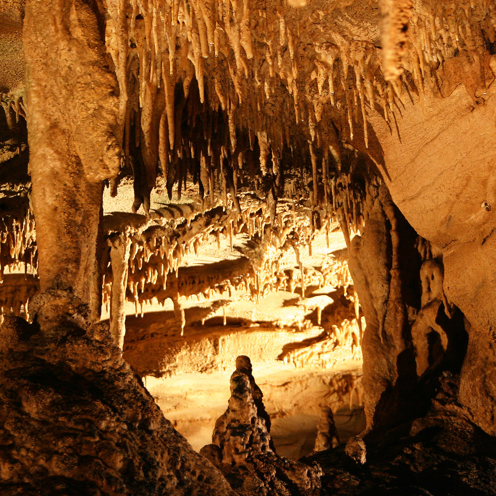 Mammoth Cave 1