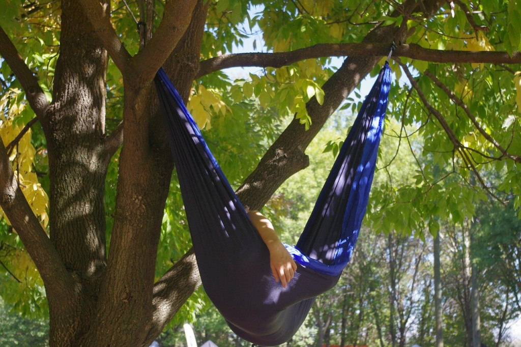 hammock in tree